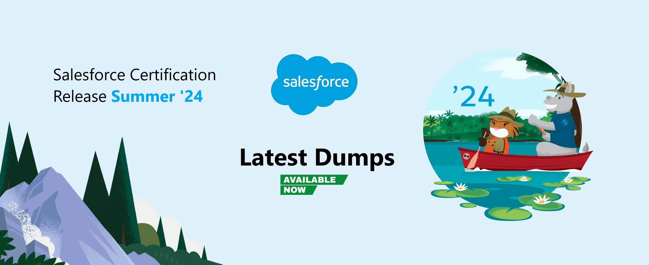 Salesforce dumps